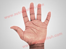 Square Palm