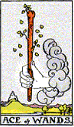 The Ace of Wands