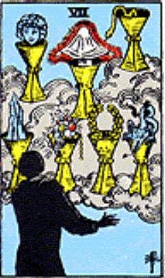 The Seven of Pentacles